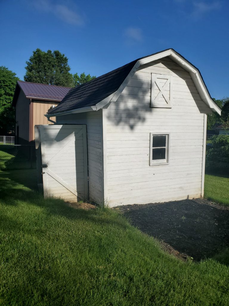 shed removal